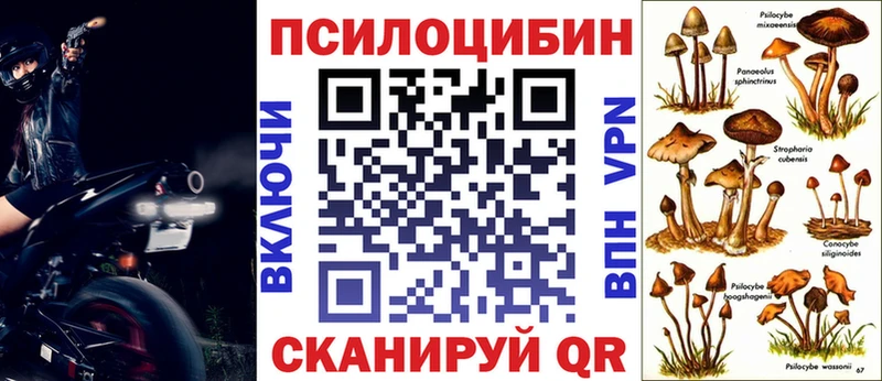 Купить где  Кубинка  Галлюциногенные грибы Magic Shrooms 